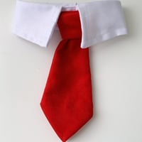 Doggy gentleman bow tie