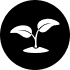 Botanical Icon