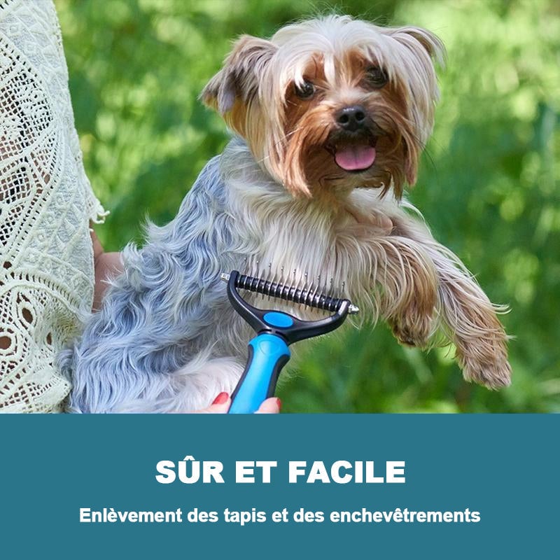 Brossedetoilettagepouranimauxdecompagnie_3