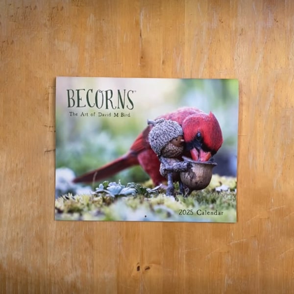 9_21551b98-0856-4716-b98b-ebcc0c5e55c7