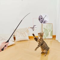 1_8_1d2a2857-bbbe-403f-bc1b-bf3f9ca107fe