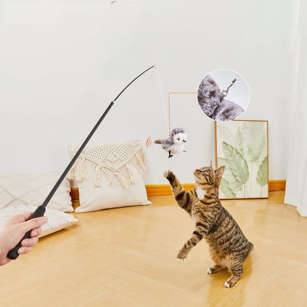 1_8_1d2a2857-bbbe-403f-bc1b-bf3f9ca107fe