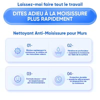 Spray Nettoyant Mural Anti-Moisissure à Action Rapide