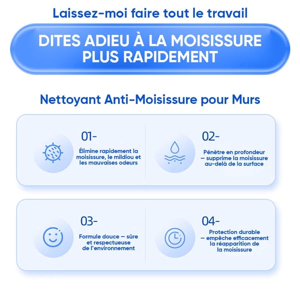 Spray Nettoyant Mural Anti-Moisissure à Action Rapide