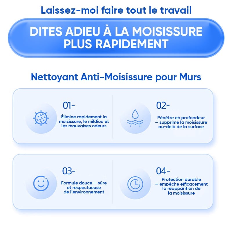 Spray Nettoyant Mural Anti-Moisissure à Action Rapide