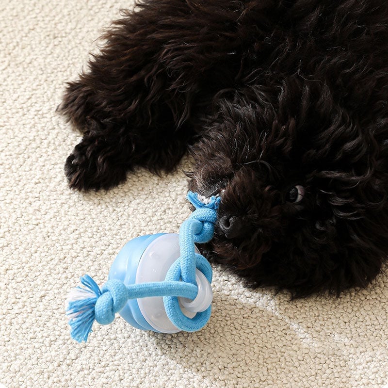 Interactive Smart Rolling Pet Ball
