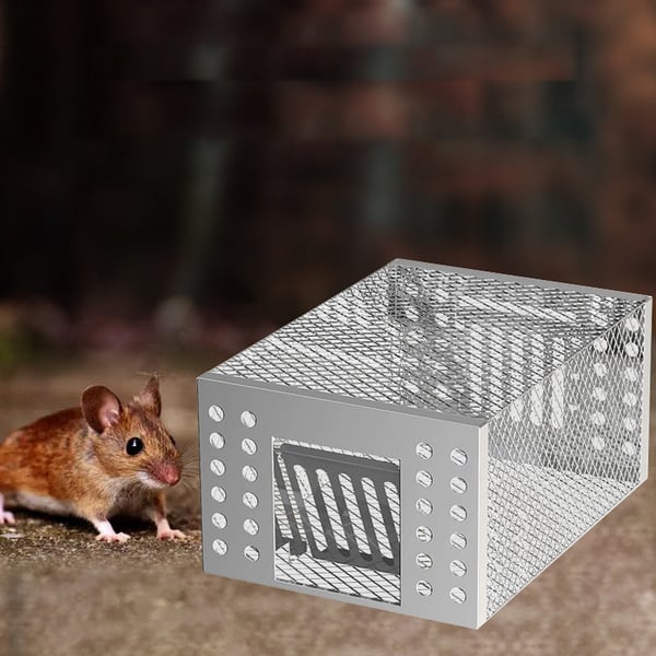 1_1_f868df76-7be8-4058-a7f0-be7fff0c8637