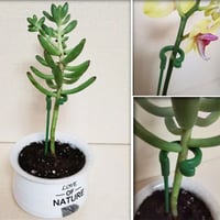 SALE Plant Support Stake