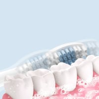 High-Frequency Sonic Oral Cleaner