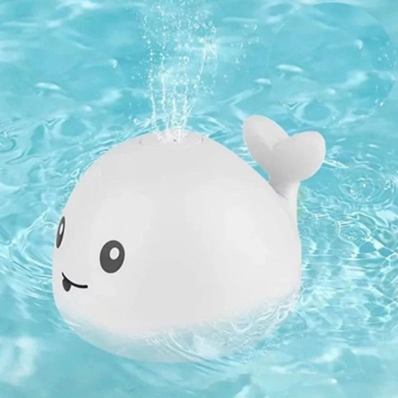 2_12_c51b67a2-0267-46c1-b858-311ac422db26