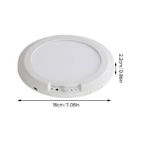 Motion Sensor Ceiling Light