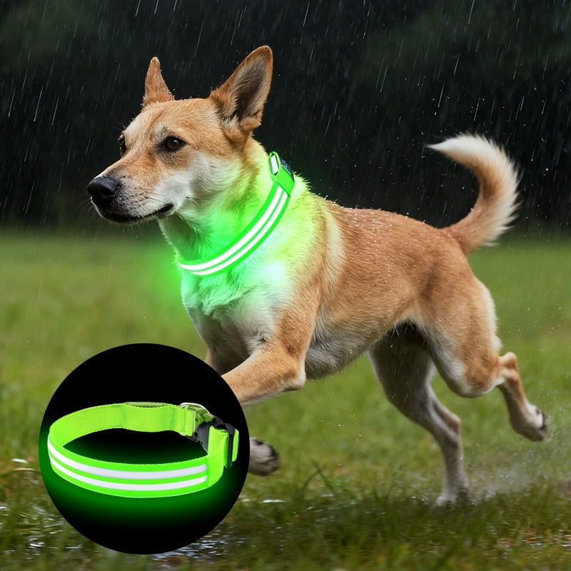 Dual Fiber Nighttime Luminous Dog Collar
