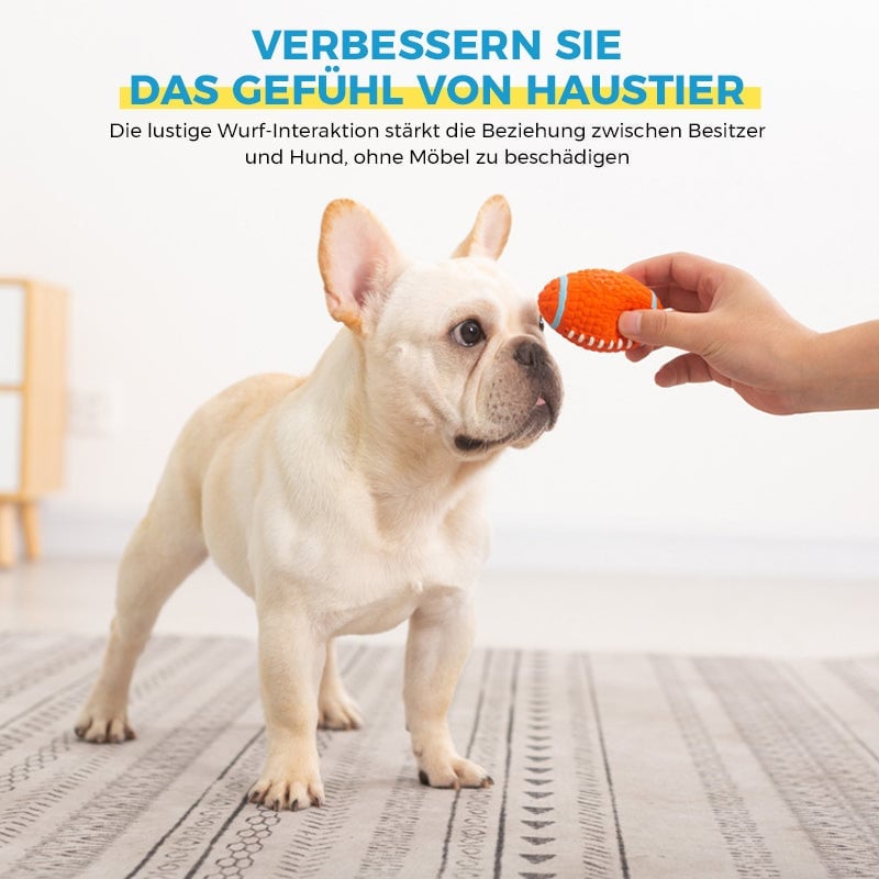 🐶Bissfester Ball für Hunde🐕