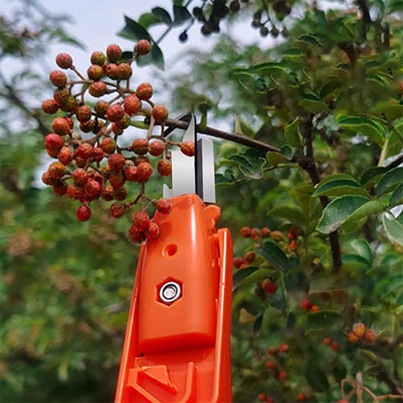 Outils efficaces de collecte de poivre