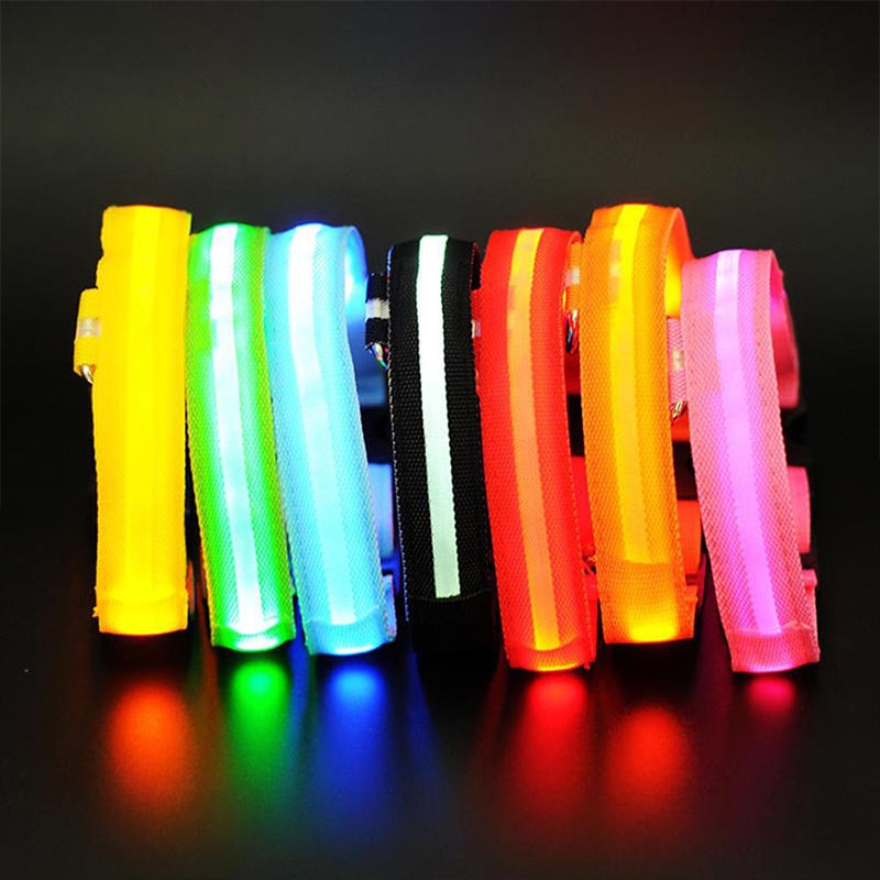 LED-Halsband