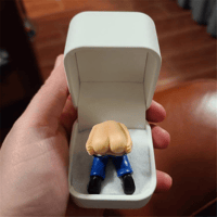 Streich Verlobungsring Box