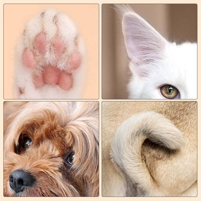 Sale-Pet Hair Trimmer With Led Light