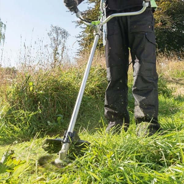 81d5f1d5-5eb7-4dca-bea3-eb6393808500_722c409a-ddf7-4b1d-85f3-eafb9071874a