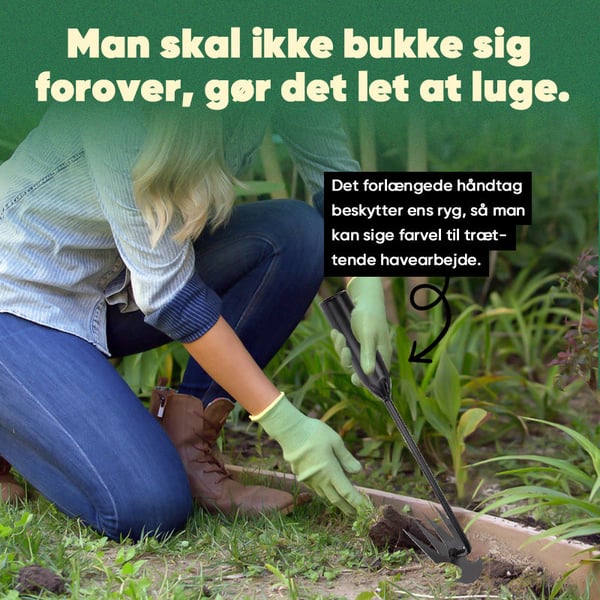 2_fda1fc52-9eec-413d-b101-12dffa5f6c89