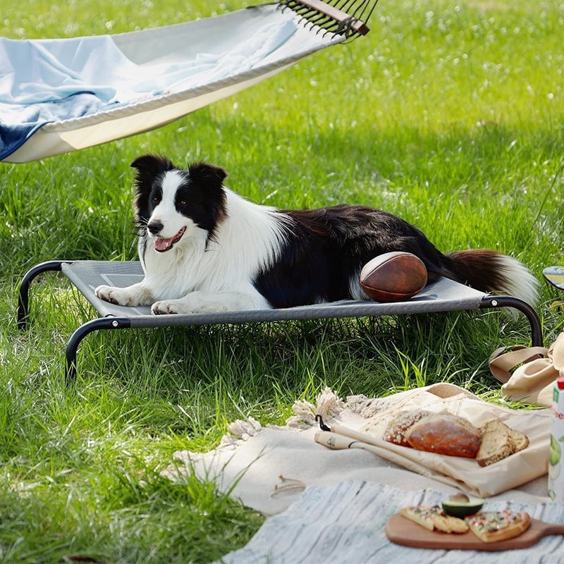 Sakerplus Detachable Mesh Pet Camping Bed