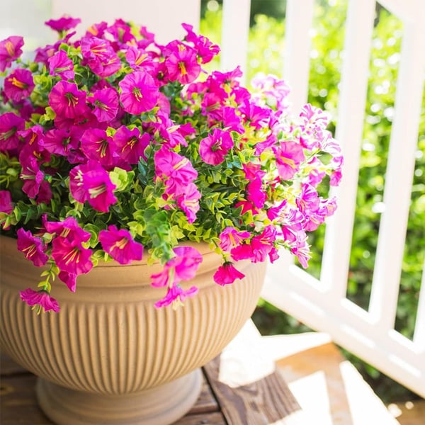 Artificial Morning Glory