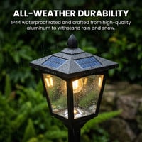 e8990248-be37-4e82-363e-bc665cb5ab00.jpg