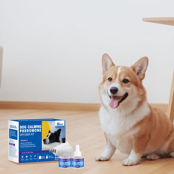 e8ecc795-463f-4e1c-3e22-1e1e84b23900