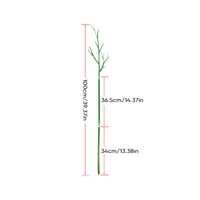 Plant climbing pole