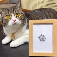 New Pet Paw Printing Kit