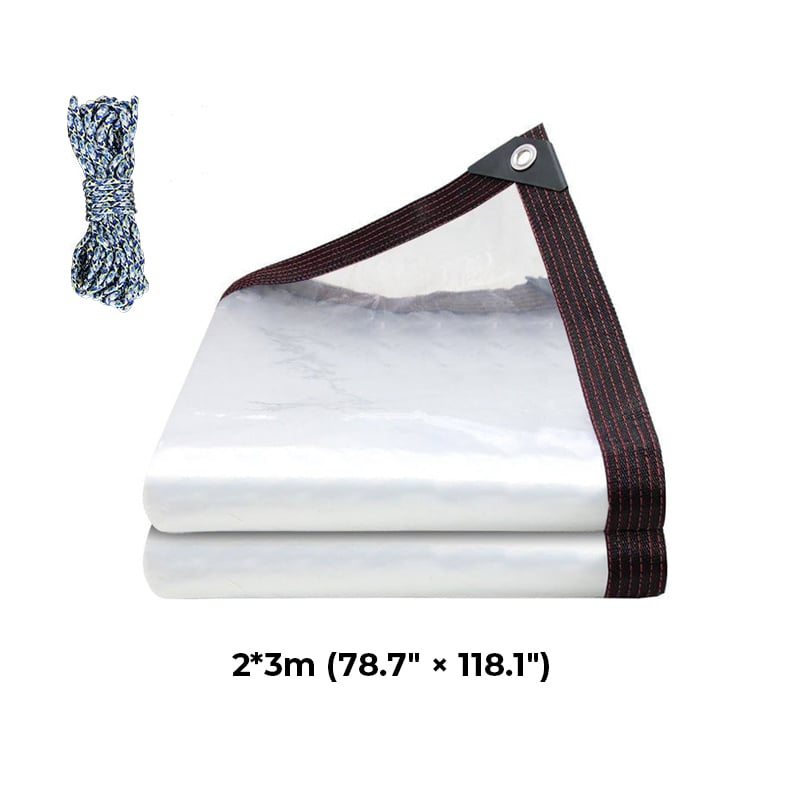 e97773ff-fe84-4649-112b-8a8d0c0c2500