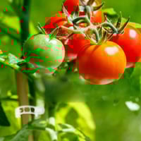 e98850f5-c4b4-4054-c70d-977e05a3b700