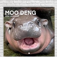 Moo Deng Kalender | Kalender 2025-1