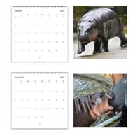 Moo Deng Kalender | Kalender 2025-1
