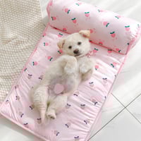 ✨Tappetino rinfrescante in seta di ghiaccio per cani e gatti✨