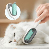 🐱Pet Hair Removal Comb with Water Tank🐶