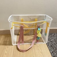 Transparent Beach Bag