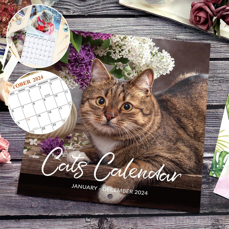 Cute Cat Wall Calendar