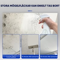 2_e5afa0c2-579a-4ba6-9586-cab6c06fb7af