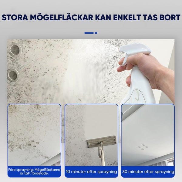 2_e5afa0c2-579a-4ba6-9586-cab6c06fb7af