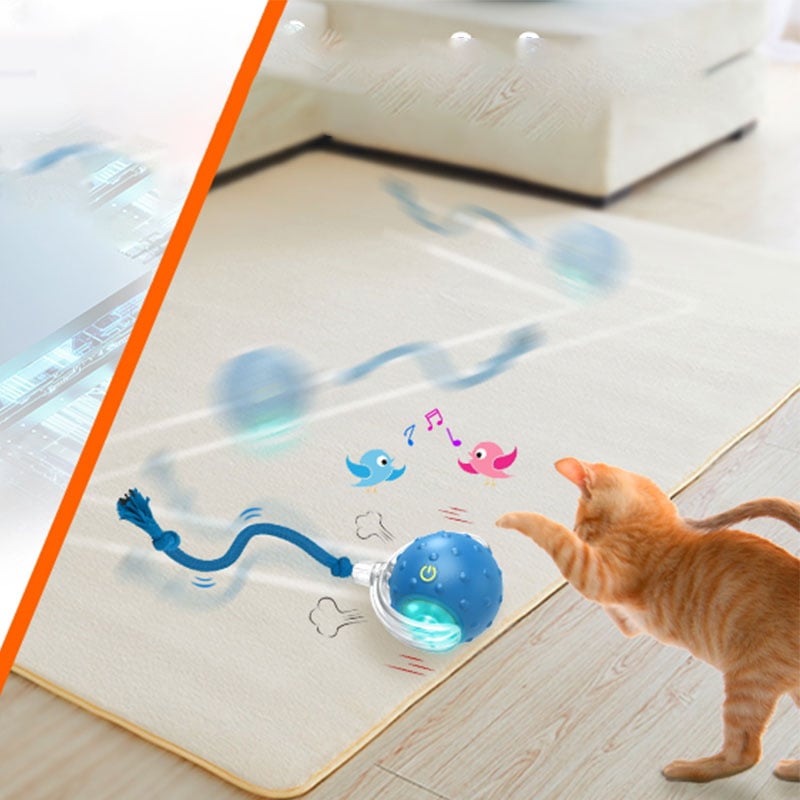 6_9091cbcb-8c32-4383-929b-1bcde452f572