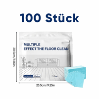 100 Stück.png
