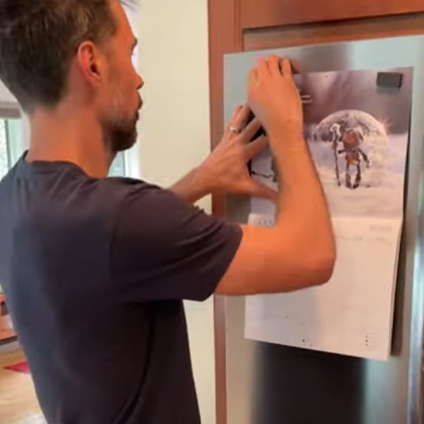 8_b96a4f7b-ca78-4f68-a3e5-68a106cfbf32