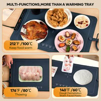 SAKER Food Warming Mat