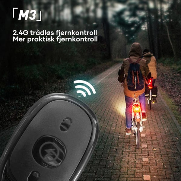 Blinklys for bilfjernkontroll