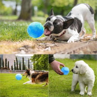 Hirundo® Magic Ball for Dogs