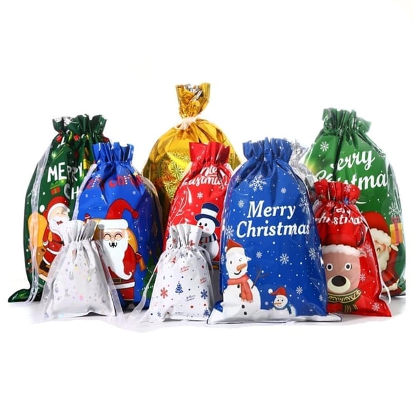 Sakerplus Christmas Gift Bags