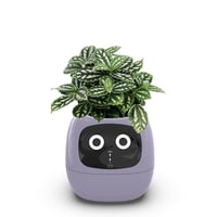 Smart AI Flowerpot with Temperature Display and Animated Expressions