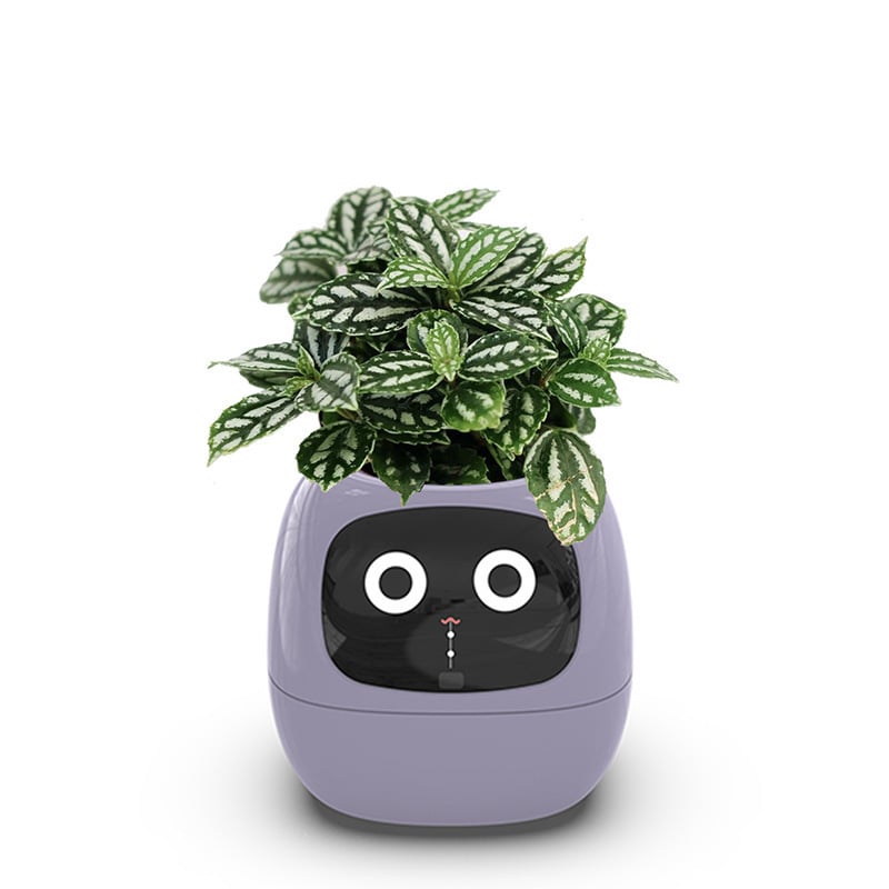 Smart AI Flowerpot with Temperature Display and Animated Expressions