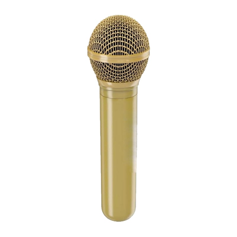 Microphone-Shaped Creative Showerhead