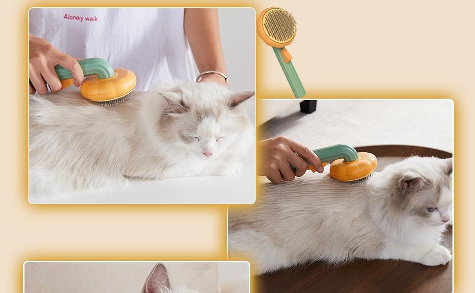 Pumpkin Pet Combing Brush